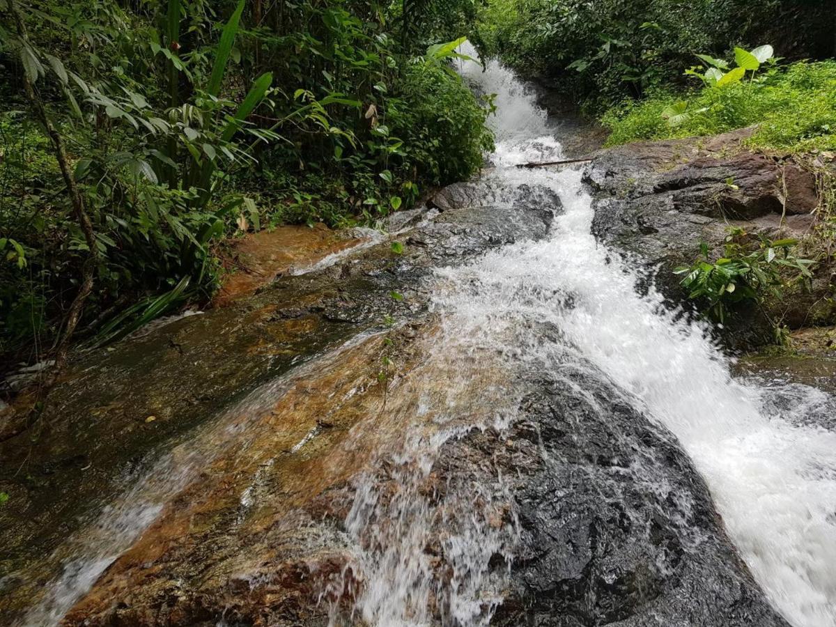 Nua Tone Resort Bang Tao Bagian luar foto