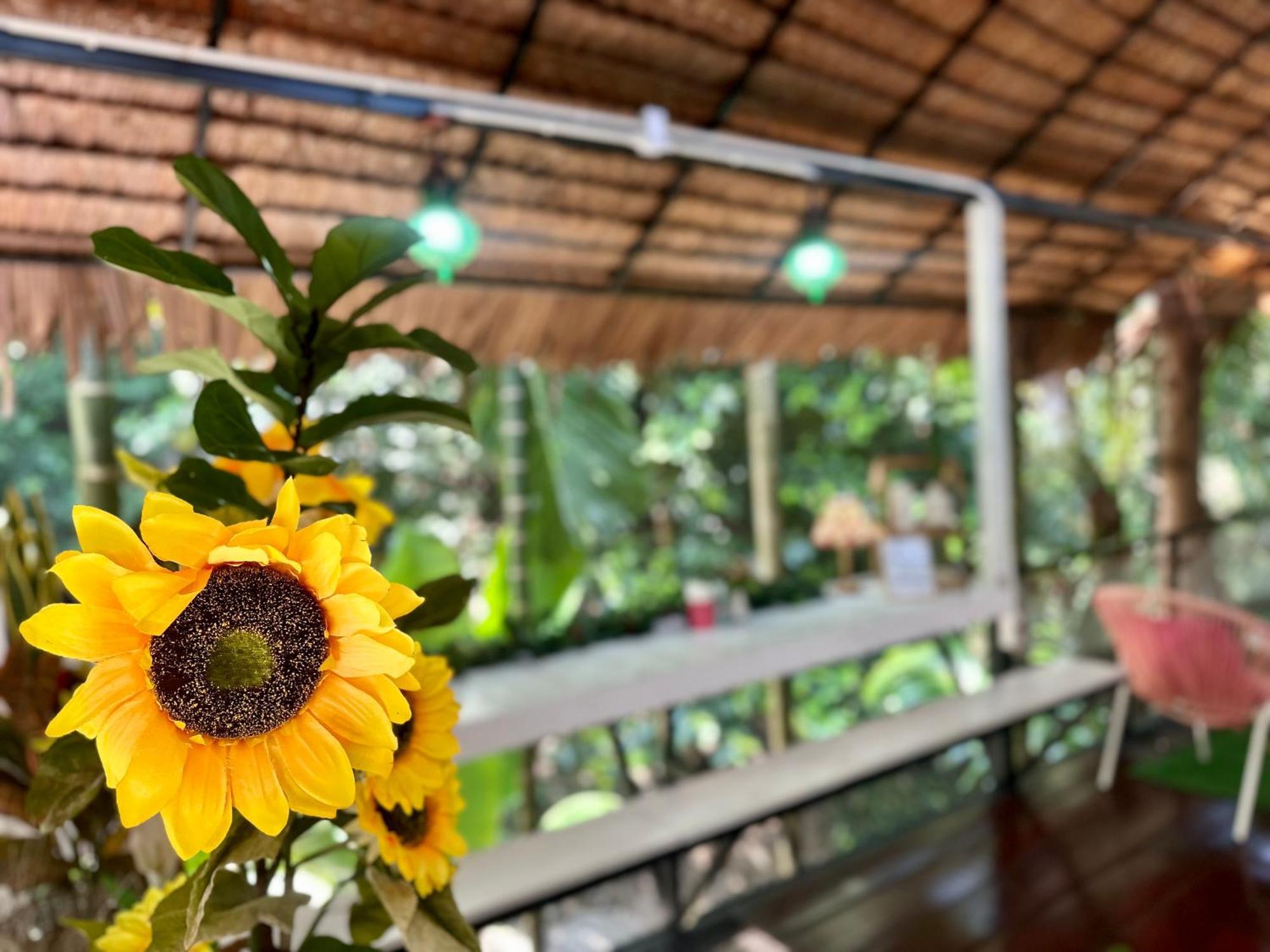 Nua Tone Resort Bang Tao Bagian luar foto
