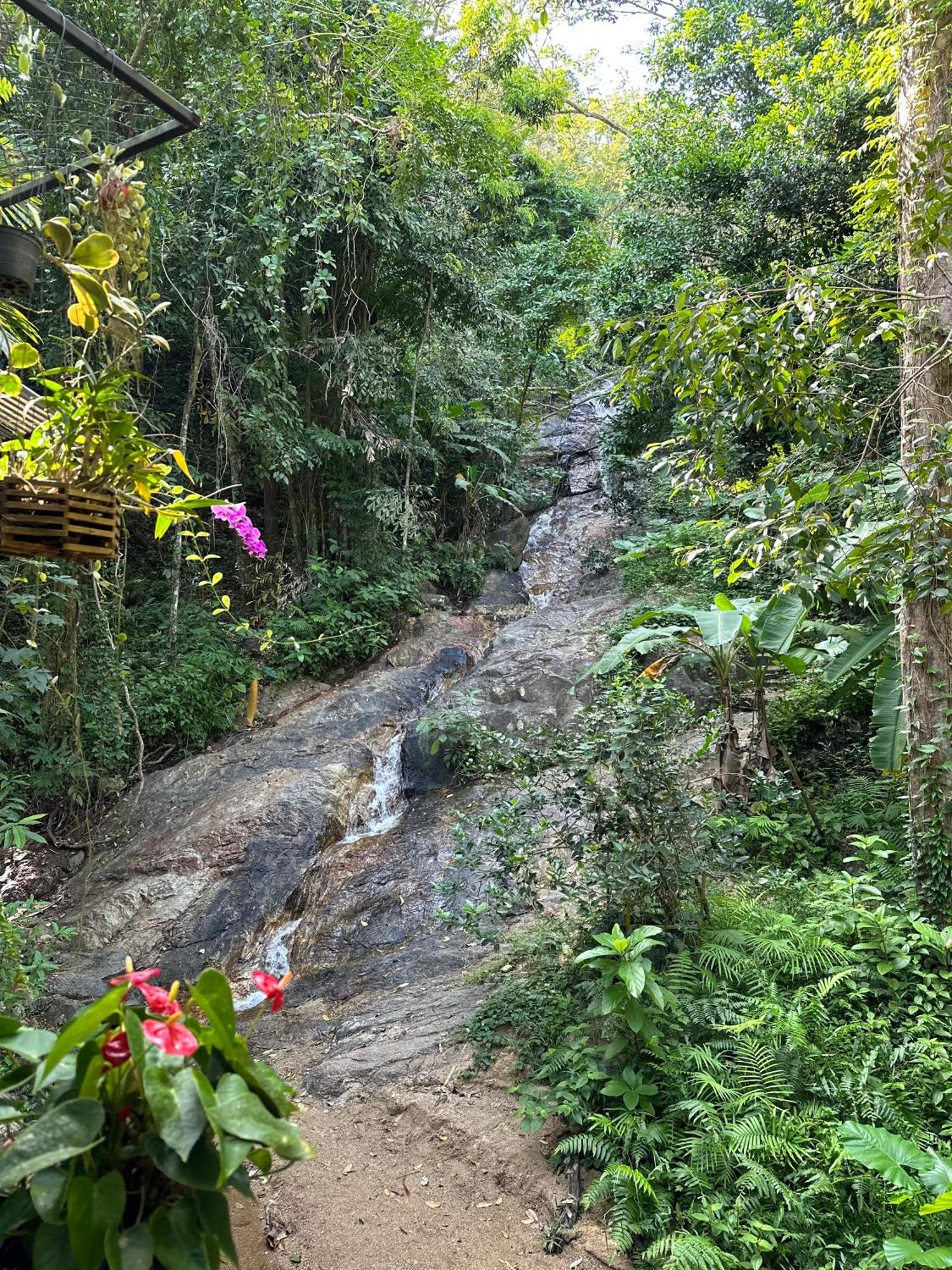 Nua Tone Resort Bang Tao Bagian luar foto